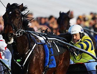 HARNESS RACING